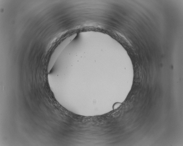 X0000064730776200603131252