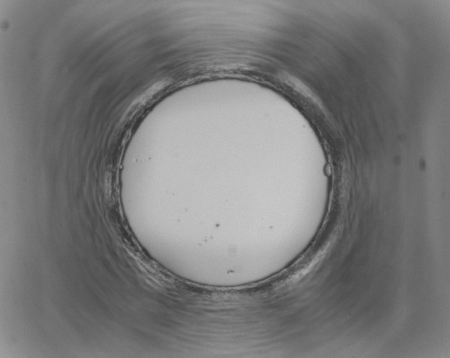 X0000064730777200603131252