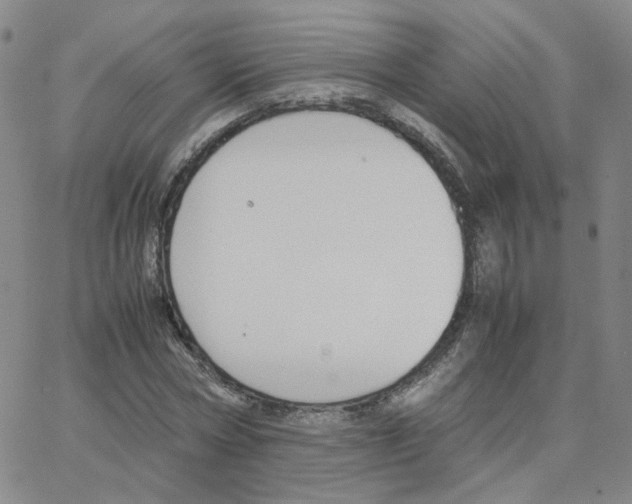 X0000064730778200603131252