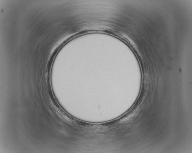 X0000064730779200603131252