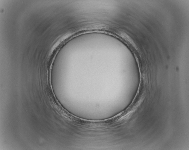 X0000064730781200603131252