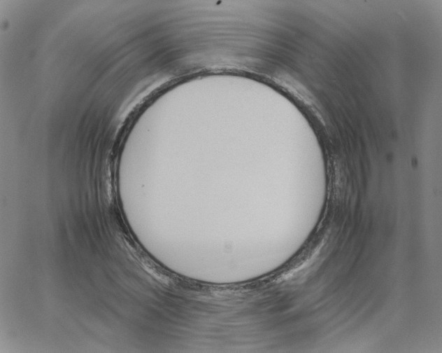 X0000064730782200603131252