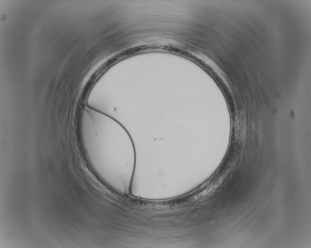 X0000064730783200603131252