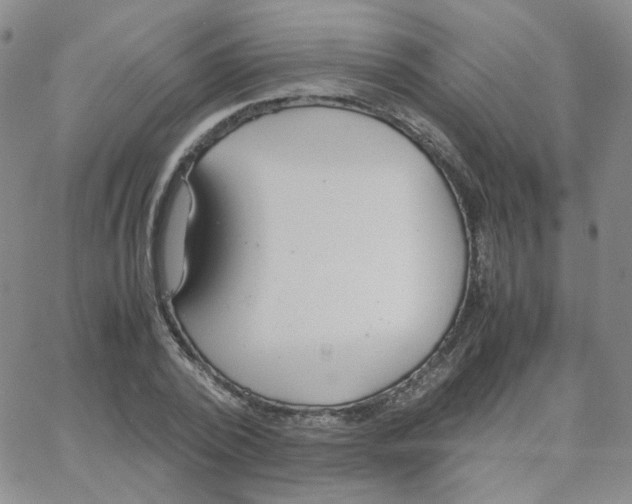 X0000064730784200603131252