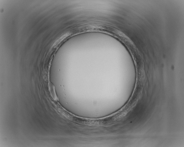 X0000064730785200603131252