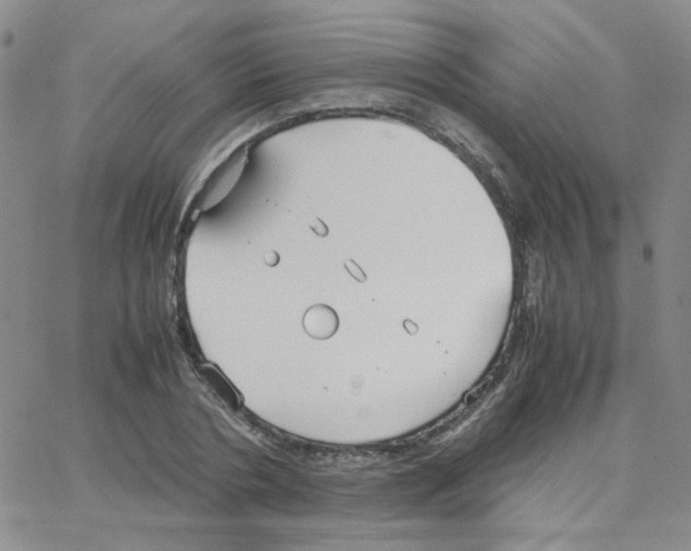 X0000064730786200603131252