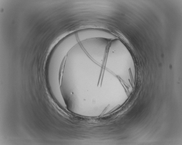 X0000064730787200603131252