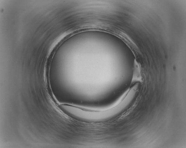 X0000064730788200603131252