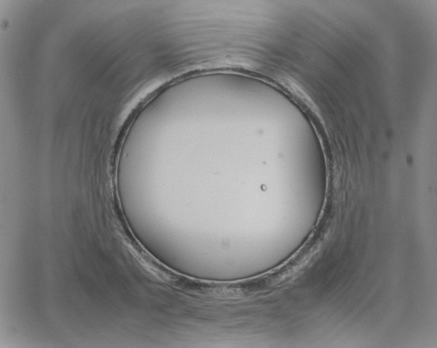 X0000064730789200603131252