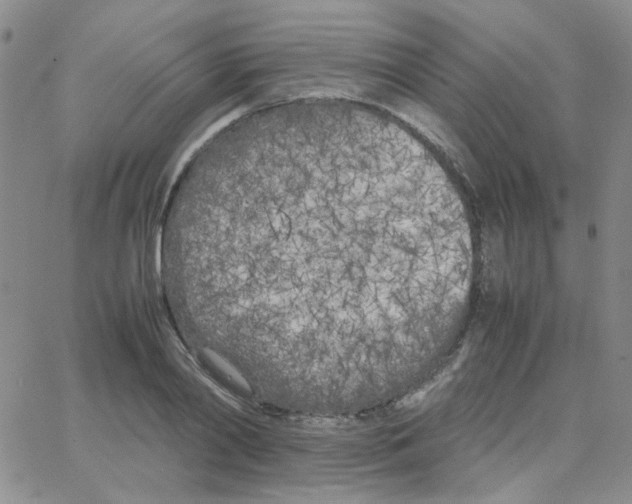 X0000064730790200603131252