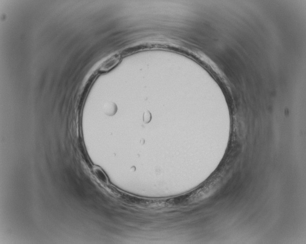 X0000064730791200603131252