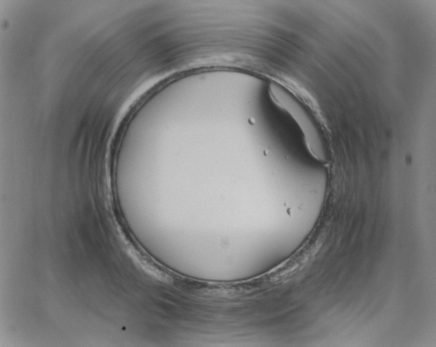 X0000064730792200603131252