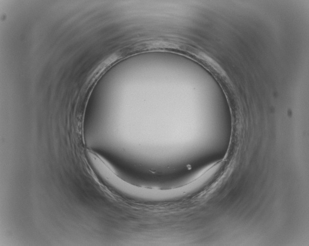 X0000064730793200603131252