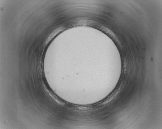 X0000064730794200603131252