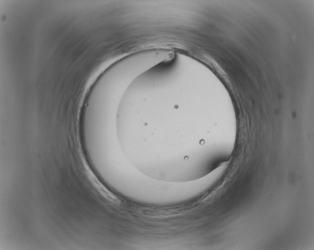 X0000064730795200603131252