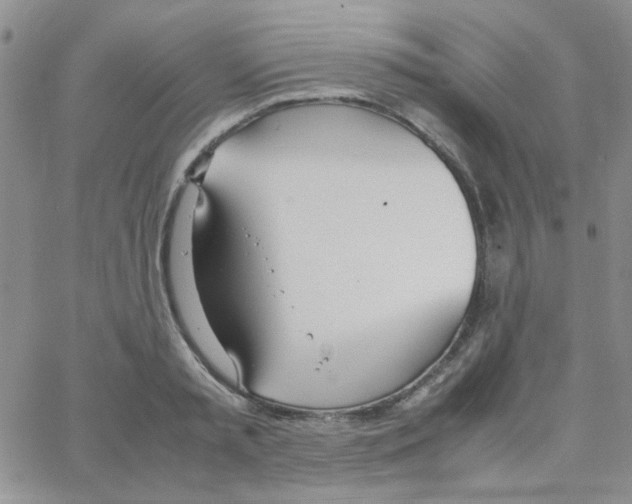 X0000064730797200603131252