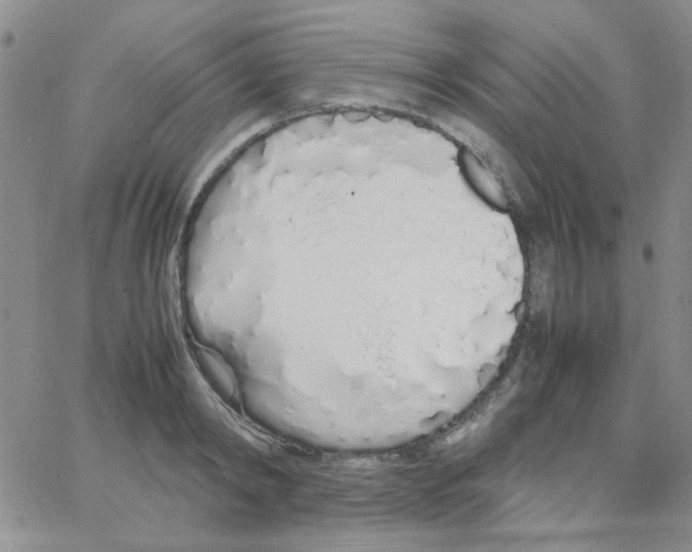 X0000064730798200603131252