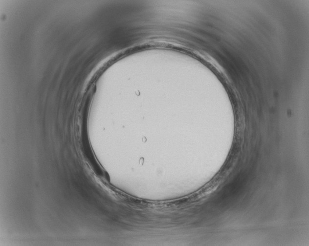 X0000064730799200603131252