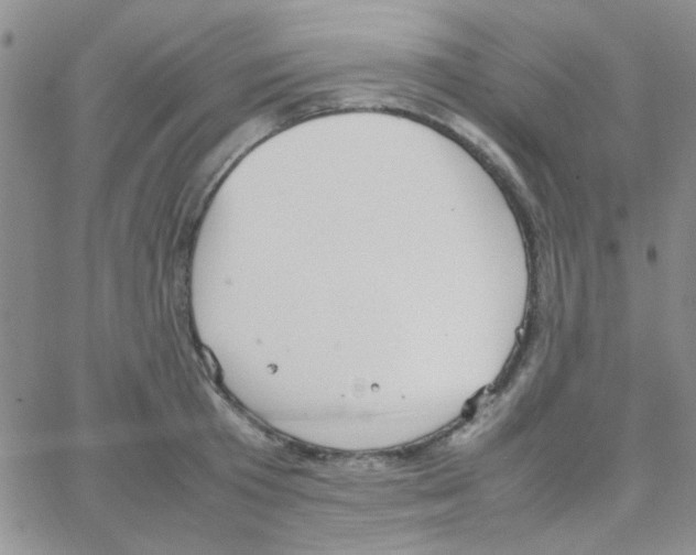 X0000064730801200603131252