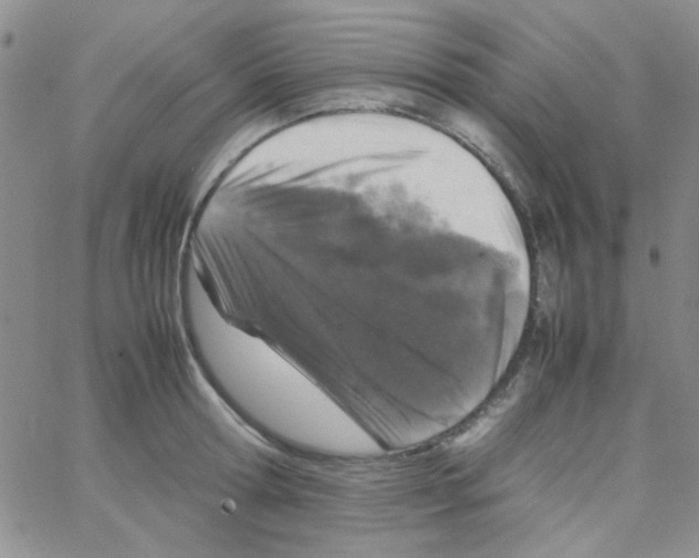 X0000064730802200603131252