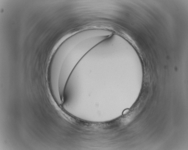 X0000064730803200603131252