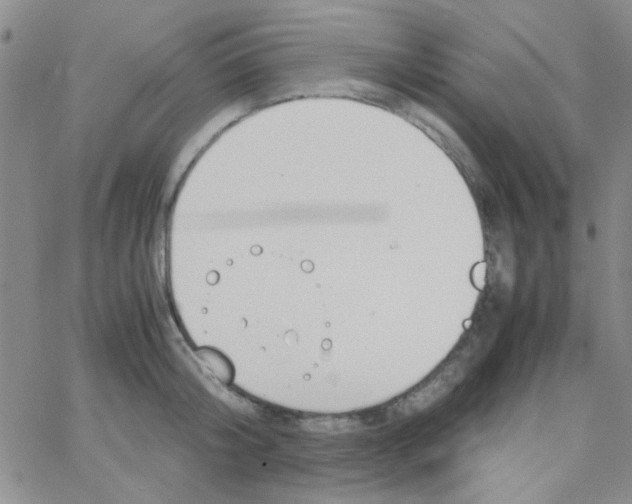 X0000064730804200603131252