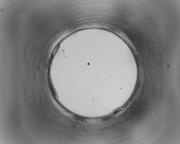 X0000064730805200603131252