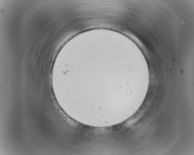 X0000064730807200603131252