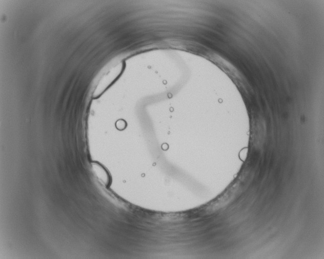 X0000064730808200603131252