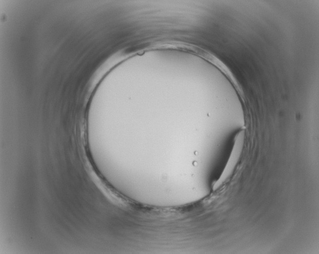 X0000064730811200603131252