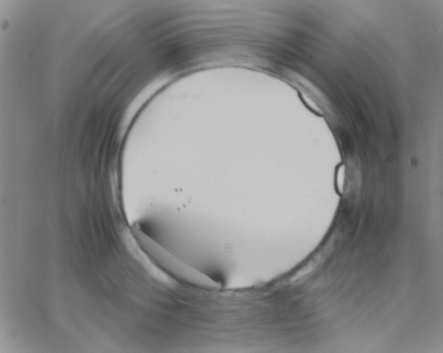 X0000064730812200603131252