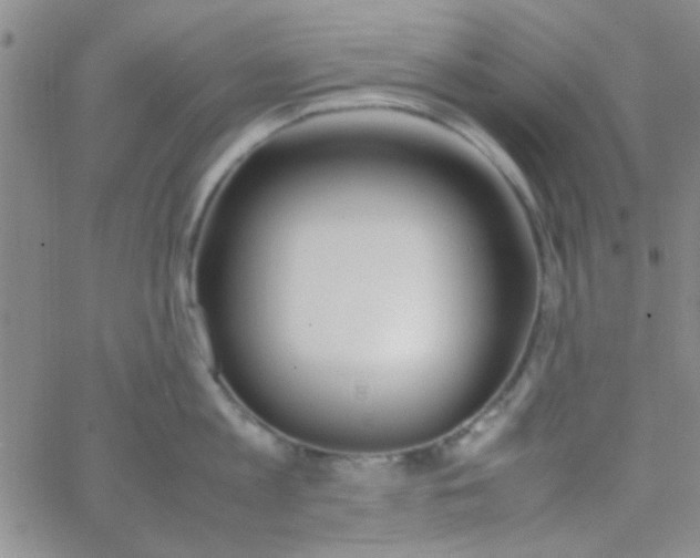 X0000064730813200603131251