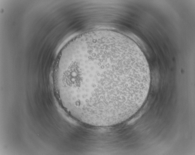 X0000064730814200603131251