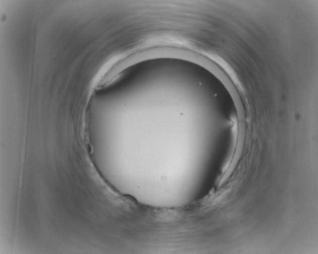 X0000064730815200603131251