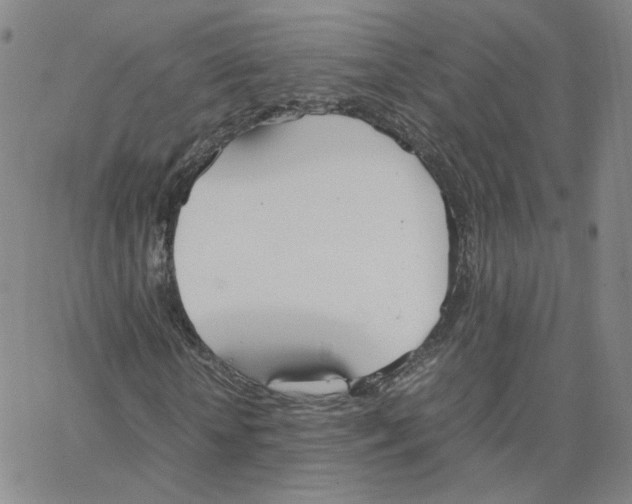 X0000064730818200603131251