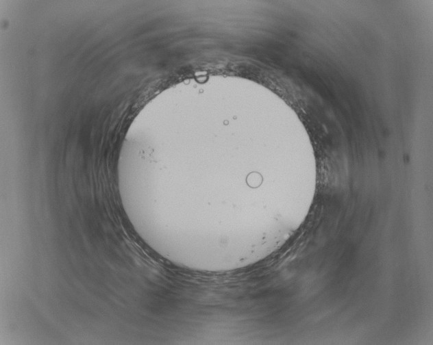 X0000064730820200603131251