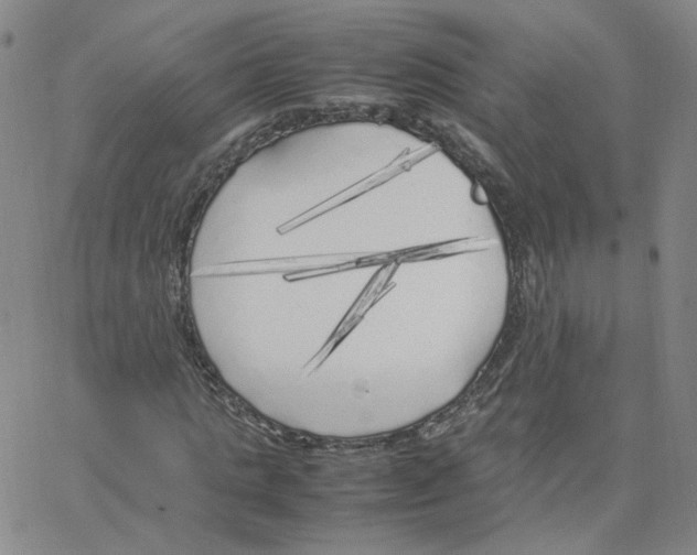 X0000064730821200603131251