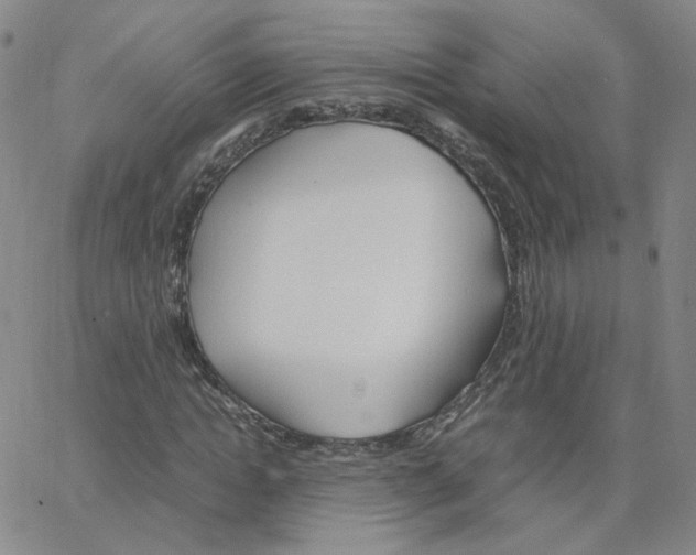 X0000064730822200603131251