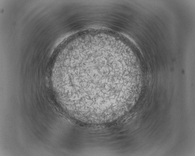 X0000064730823200603131251