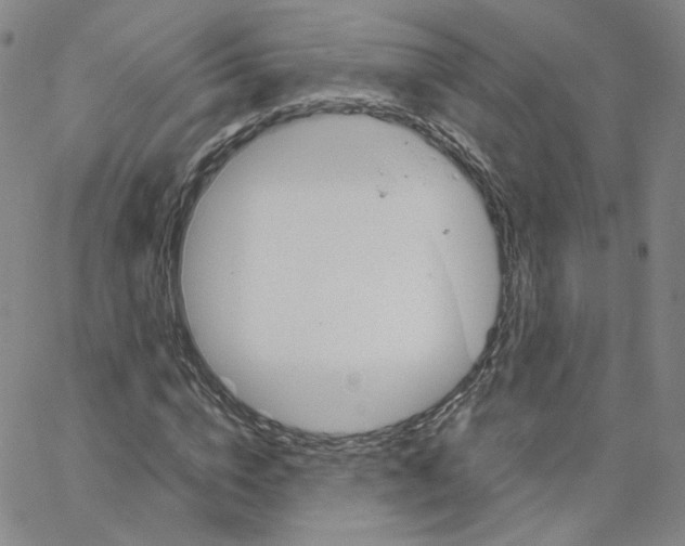 X0000064730824200603131251