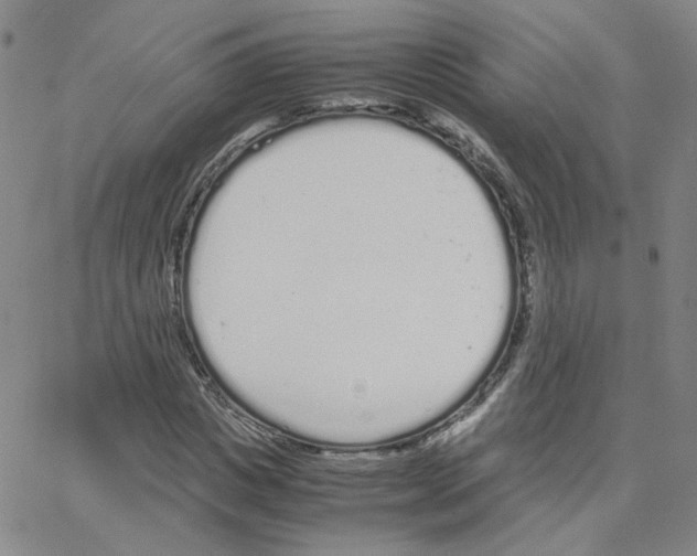 X0000064730825200603131251