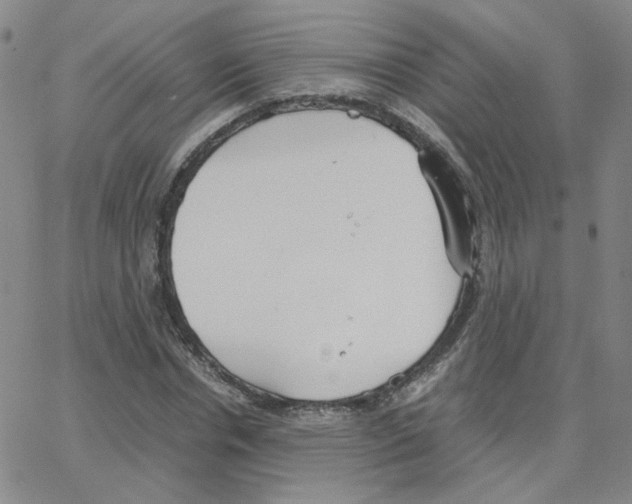 X0000064730826200603131251