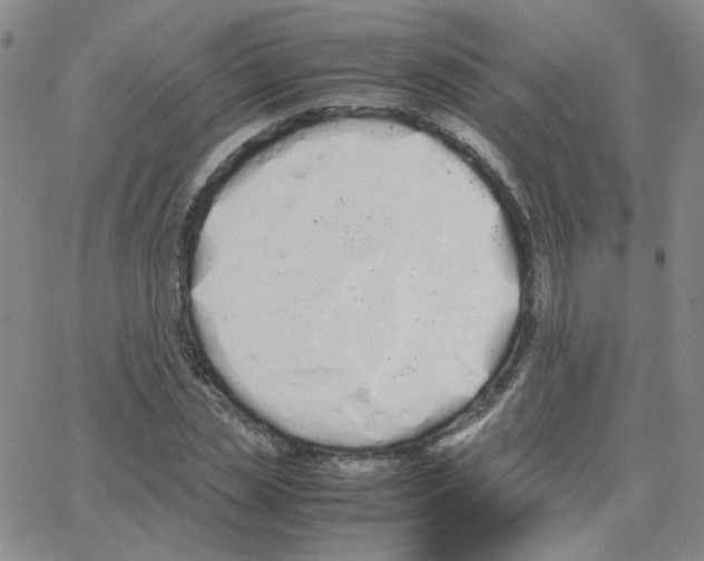 X0000064730829200603131251