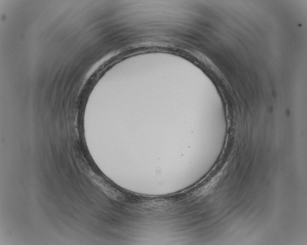 X0000064730830200603131251