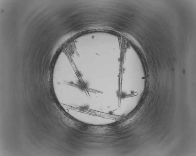 X0000064730831200603131251