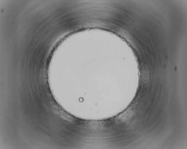 X0000064730832200603131251