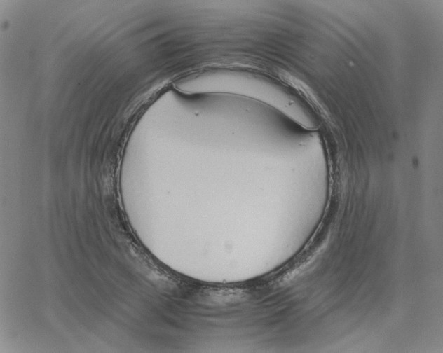 X0000064730833200603131251