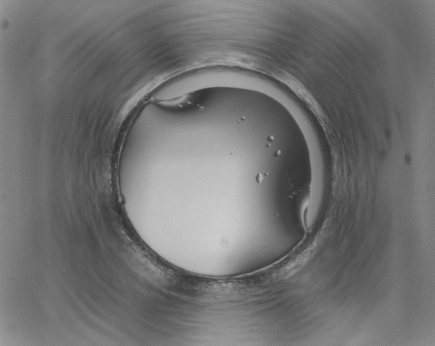 X0000064730834200603131251