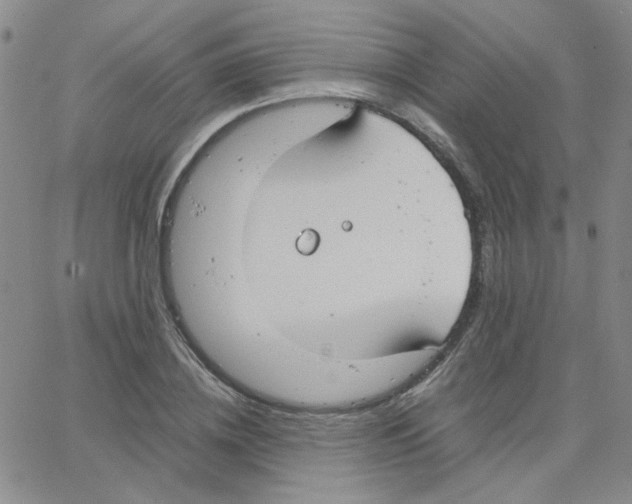 X0000064730836200603131251