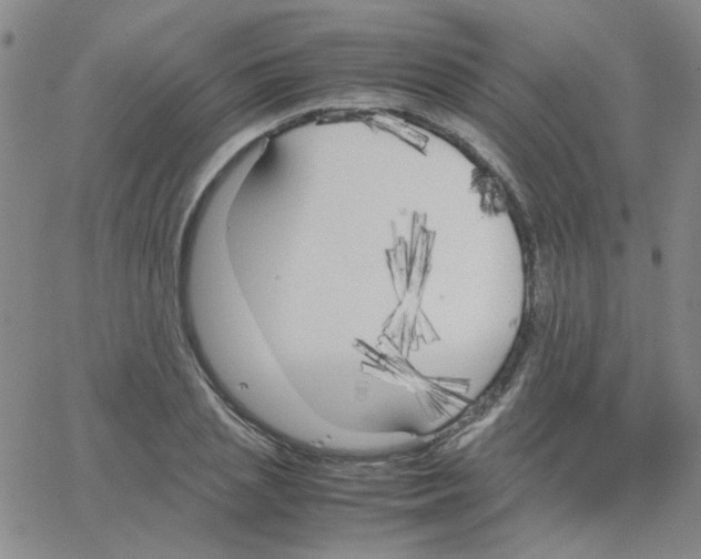 X0000064730837200603131251